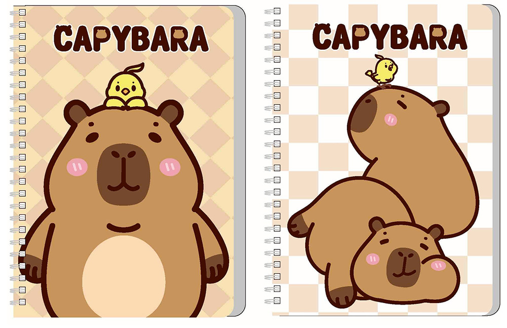 線圈 筆記本 筆記 線圈 筆記 25K