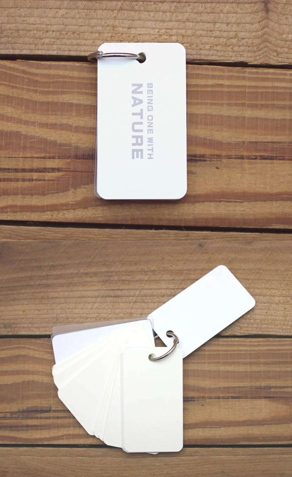 單字卡 白色 單字卡 簡單型 簡單型 記憶卡