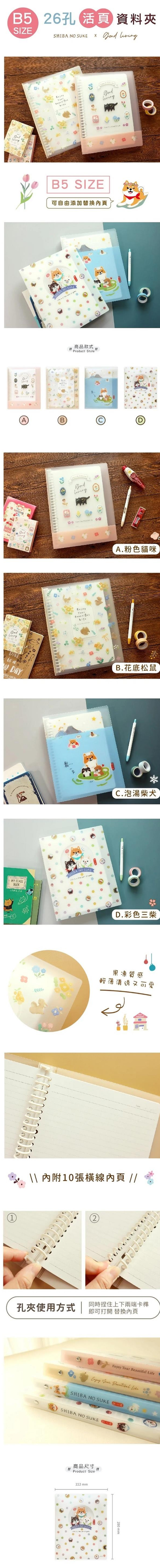 B5 PP 活頁夾 B5 活頁夾 PP