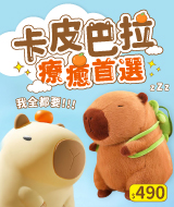 卡皮巴拉 療癒首選