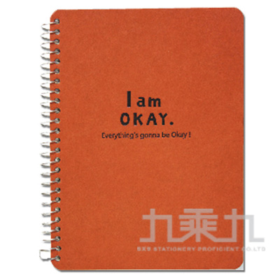 I am okay-50K側翻筆記-橘 BN-5293A