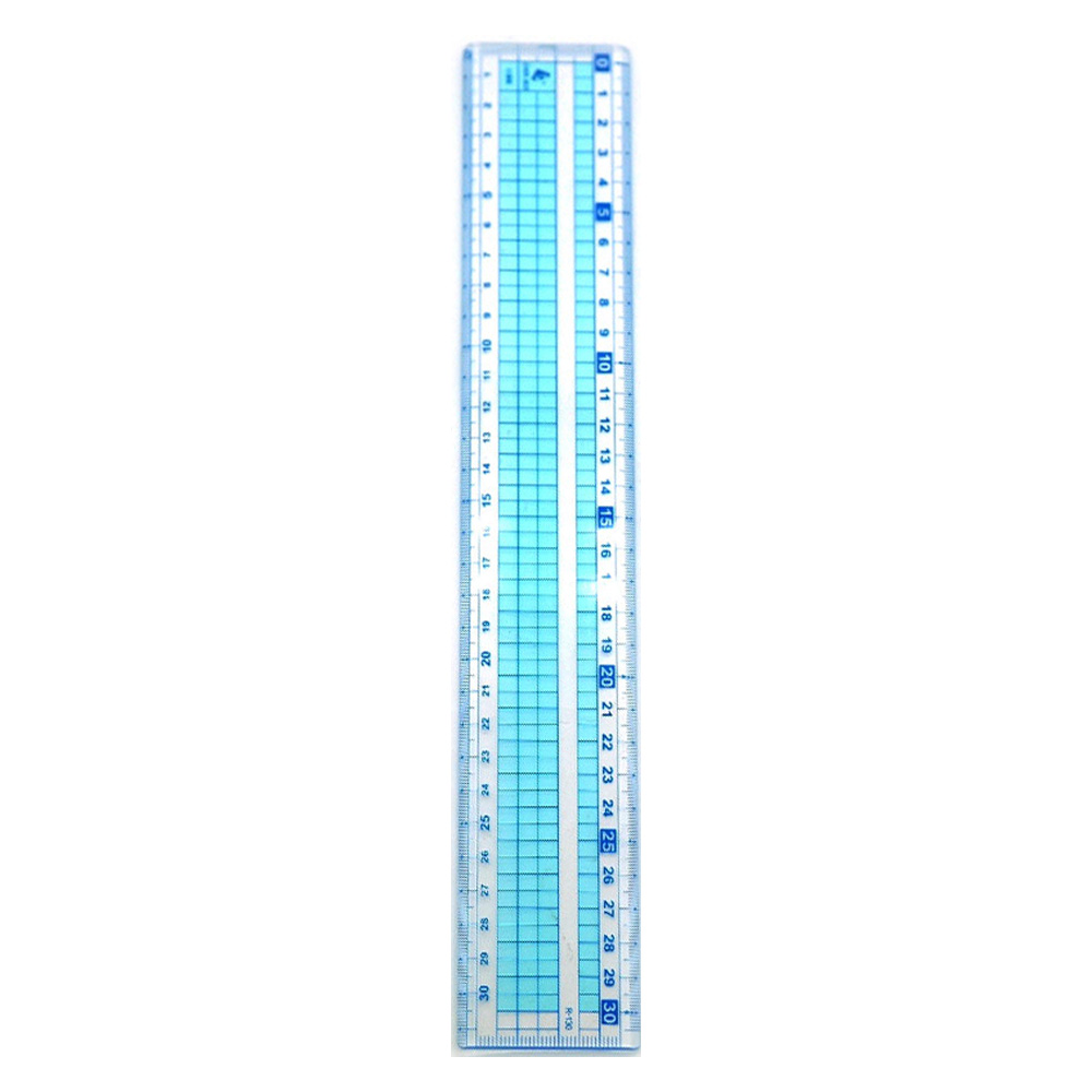 誌揚 30cm方格尺 R-030