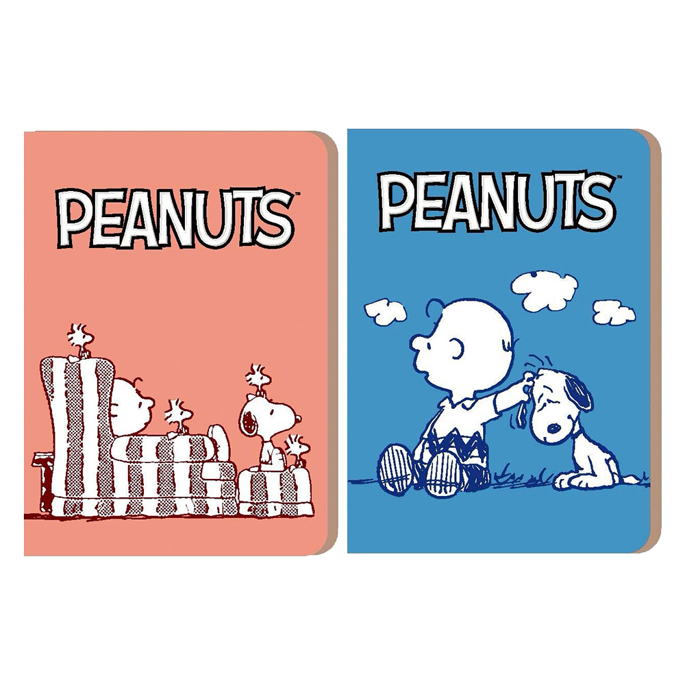 SNOOPY(古典糸)護照票卡套(款式隨機出貨)