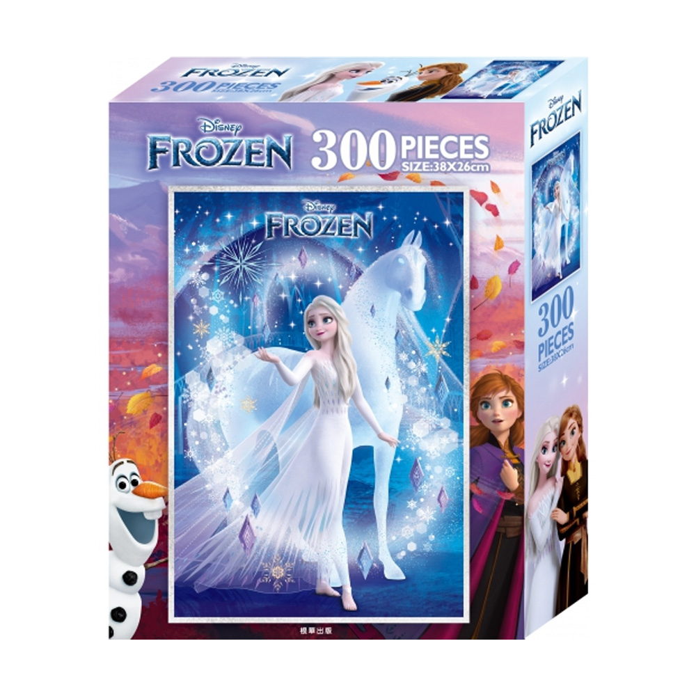 冰雪奇緣 300片盒裝拼圖(D)