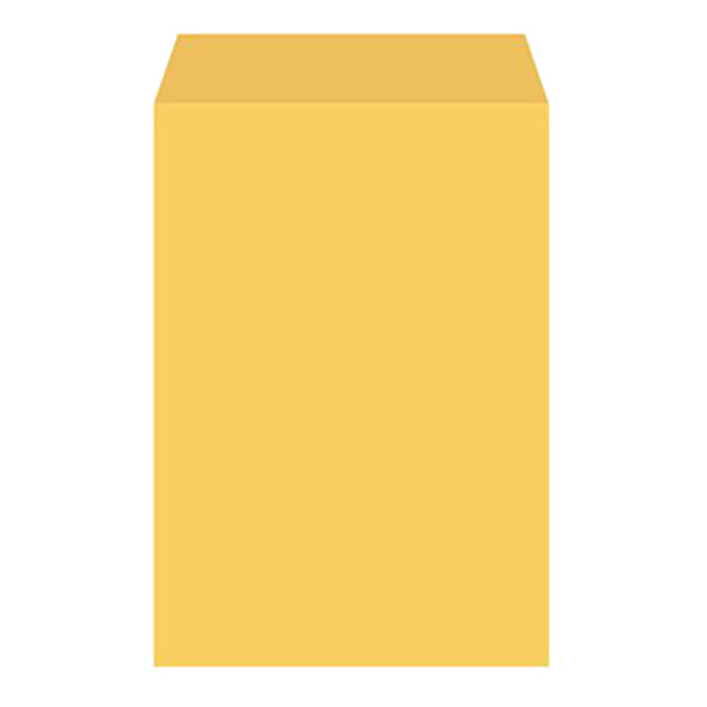 B5 金黃公文信封 5張