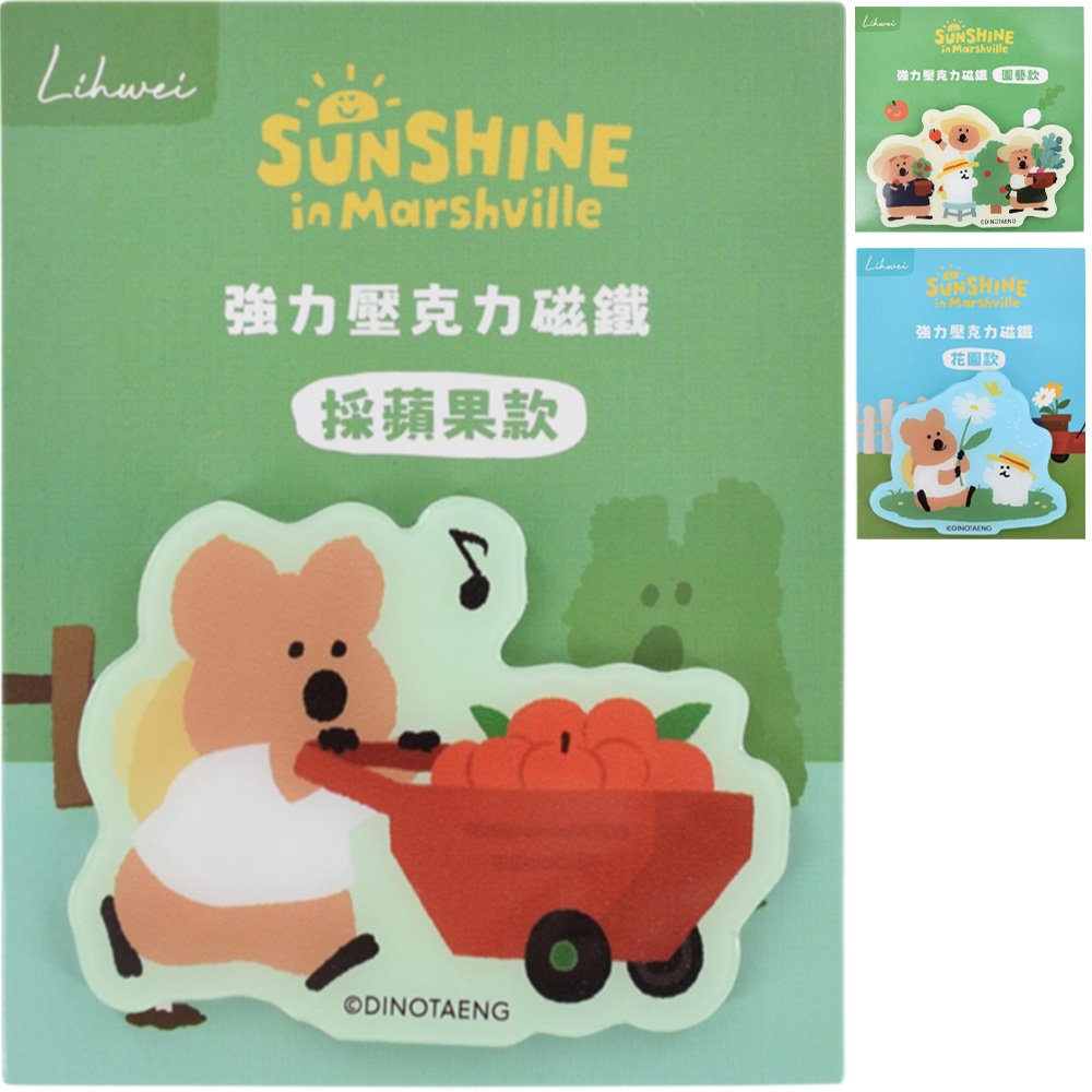 DINOTAENG 壓克力強力磁鐵