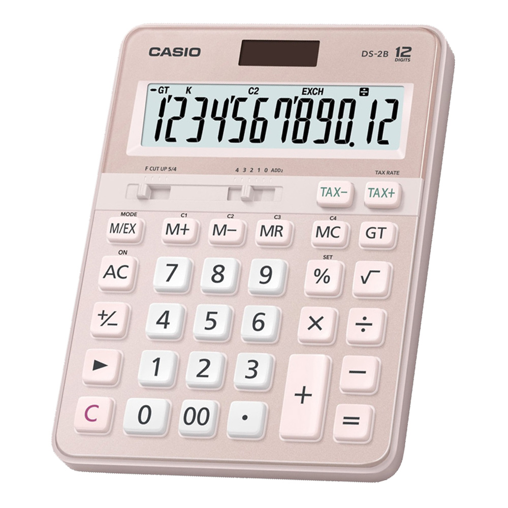 CASIO 計算機 DS-2B-PK