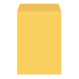 B5 金黃公文信封 100張