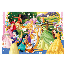 Disney Princess公主(11)拼圖300片