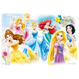 Disney Princess公主拼圖300片