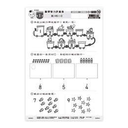 先修卷10:數學智力評量