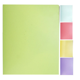 誌揚 A4 PP法色資料夾(10張) 15B-10