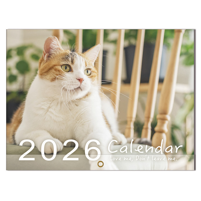 2026年 A4貓咪月曆