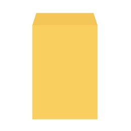 6K-金黃公文信封-100張