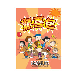 史努比驚喜包(9)
