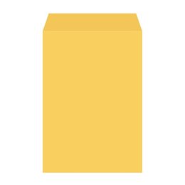 A4加大-金黃公文信封-100張