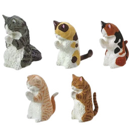 Yell 合掌祈福動物 其之貳-貓拜