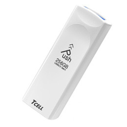 TCELL冠元 USB3.2 Gen1推推碟 256GB