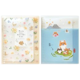 彩印 26孔 P.P活頁資料夾