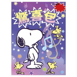 史努比驚喜包(10)