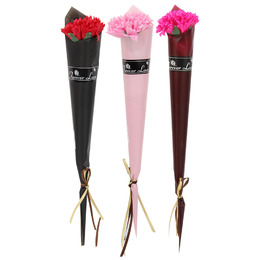 時尚精緻康乃馨花束(顏色隨機出貨)