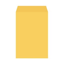 6K-金黃公文信封-5張