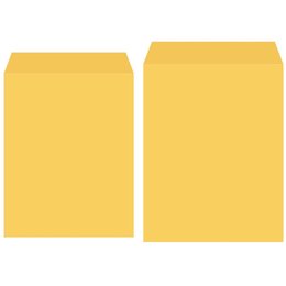 大4K/4K-金黃公文信封-4張
