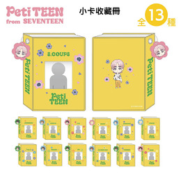 Seventeen小卡收藏冊
