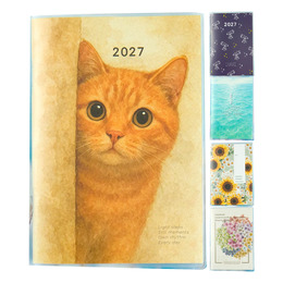 2027 50K跨年月計畫