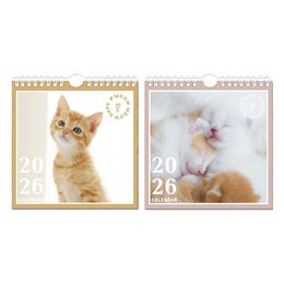 2026年 方型貓咪掛曆-小